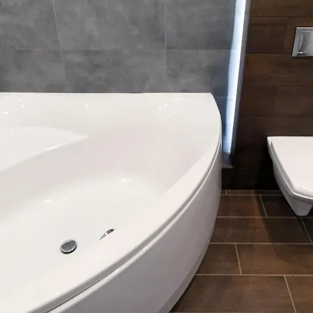 Exciting Fireplace Apartment Lviv