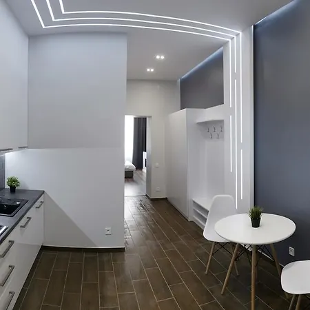 Exciting Fireplace Apartment Lemberg